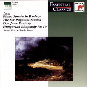 Grandes Études de Paganini, S. 141:No. 1 in G Minor - Non troppo lento