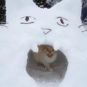 你