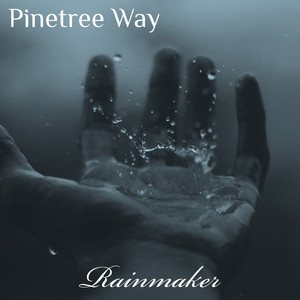 Rain Forest Meditation