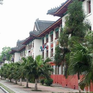 日记（女生版）