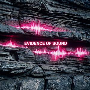 Evidence of Sound（Voice by おっかん）