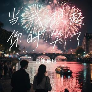 当我想起你时笑了  (Remix)