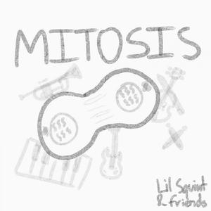 Mitosis