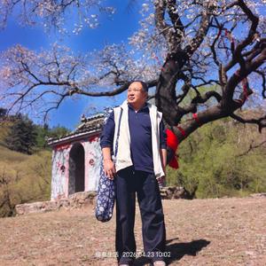 踏遍青山人未老