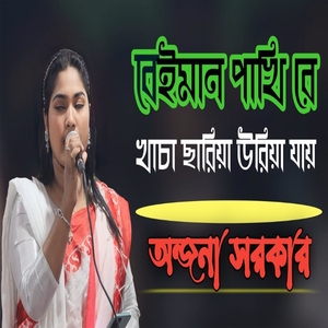 বেইমান পাখিরে খাচা ছাড়িয়া উড়িয়া যায়