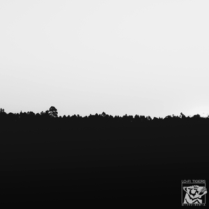 Lo-Fi Tigers - Absences