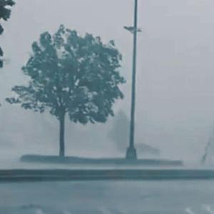 Slow Rain II (feat. thelilbird)