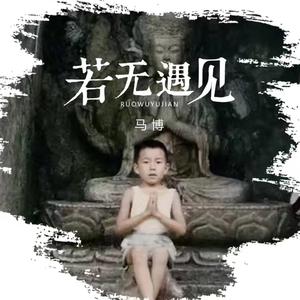 若无遇见 (释怀版)