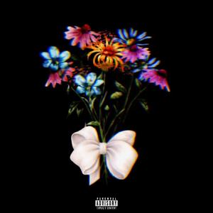 i guess im just too stupid