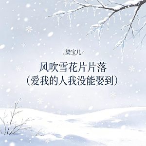 风吹雪花片片落（爱我的人我没能娶到）