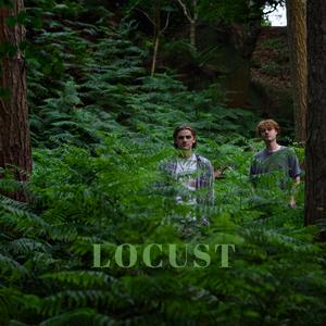 Locust