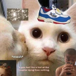 Damn Shawty O.K! (DEBBY RYAN!)