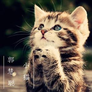 郭慧聪 - 小猫 伴奏