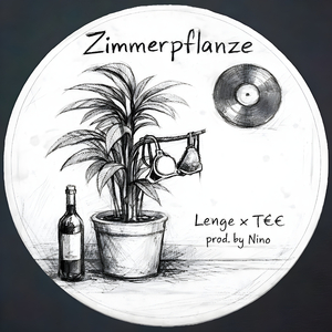 Zimmerpflanze