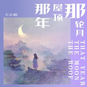 那年屋顶那轮月
