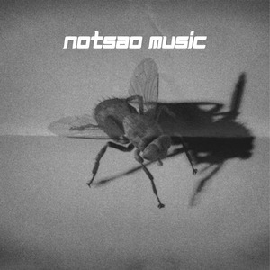 land of fire (slowed reverb)