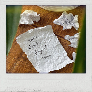 Should've Stayed Home