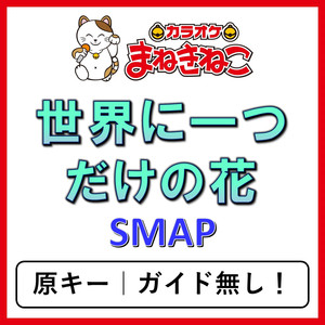 世界に一つだけの花（カラオケ）[SMAP]
