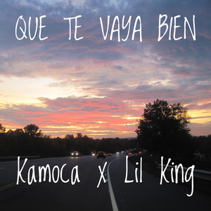 Que Te Vaya Bien (feat. Lil King)