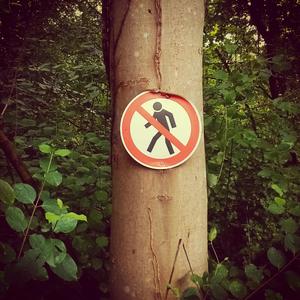 Vándor, Földönfutó...