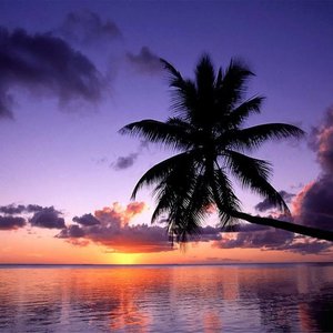 萌猫（夏梦尧）-情诗（啊彤&啊韬 remix）