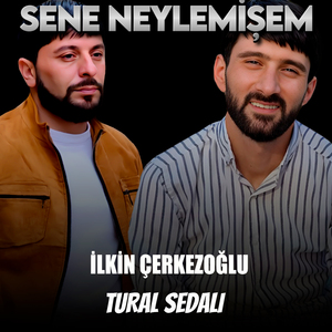 Sene Neylemişem