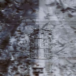 西酞普兰 (feat HoNG)