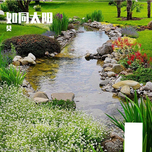膳邪了
