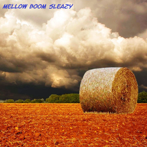 Mellow Boom Sleazy