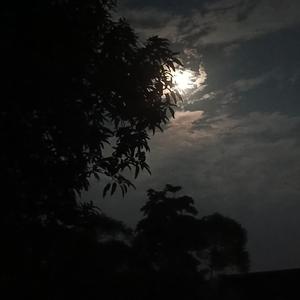 Singkat