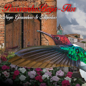 Passarinho Beija-Flor