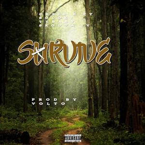 Survive (feat. Soloki, Tybaby & Skoota iv)