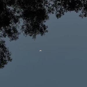 刘蕴晴-孤单心事（粤语）