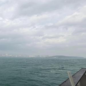 I Don’t Want to Live This Kind of Life Again