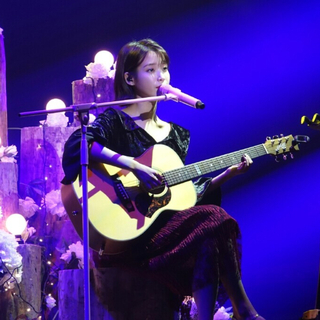 有哪些外国歌手翻唱特好听的中文歌