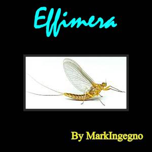 Effimera