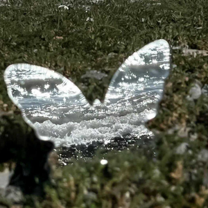 傻子信了骗子的爱