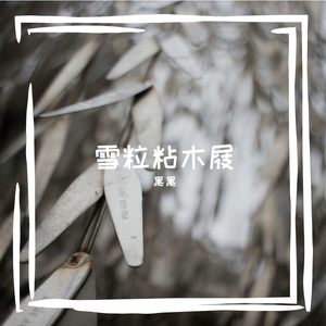 雪粒粘