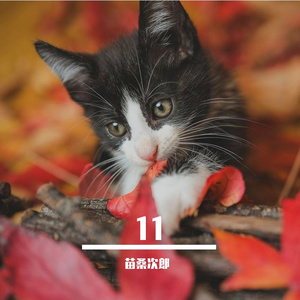 回忆中完整的爱之永恒