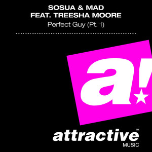 Perfect Guy (Dub Mix)