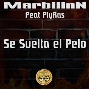 Se Suelta el Pelo (feat. FlyRas)