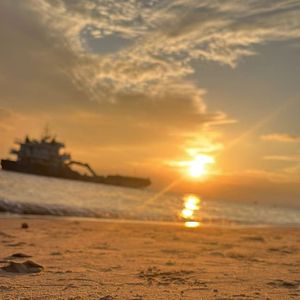 四月七与五月十一