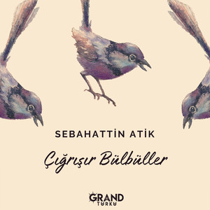 Çığrışır Bülbüller