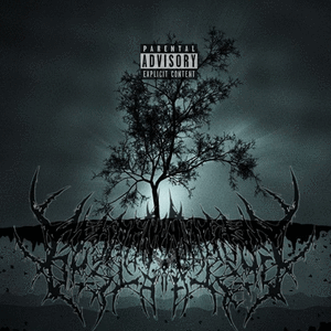 【free】TRAPKING trap beat