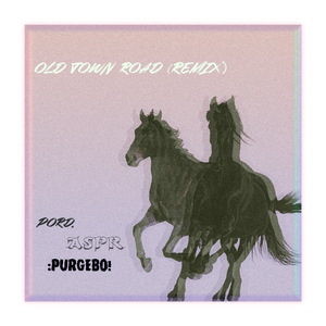 Billy Ray Cyrus-Old town road（Aspr remix）