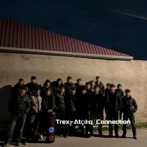Atçılıq Connection
