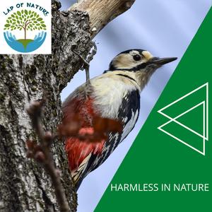 Parched Rain Thunderstorm