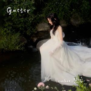Gutter