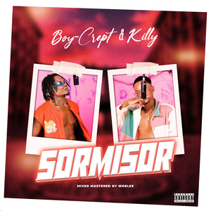 SORMISOR
