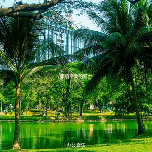 适合酒店放松的音乐